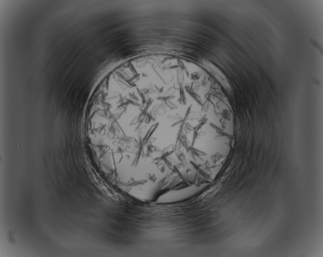 X0000097471052200803201444