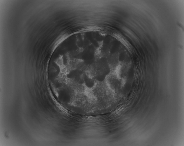 X0000097471055200803201444