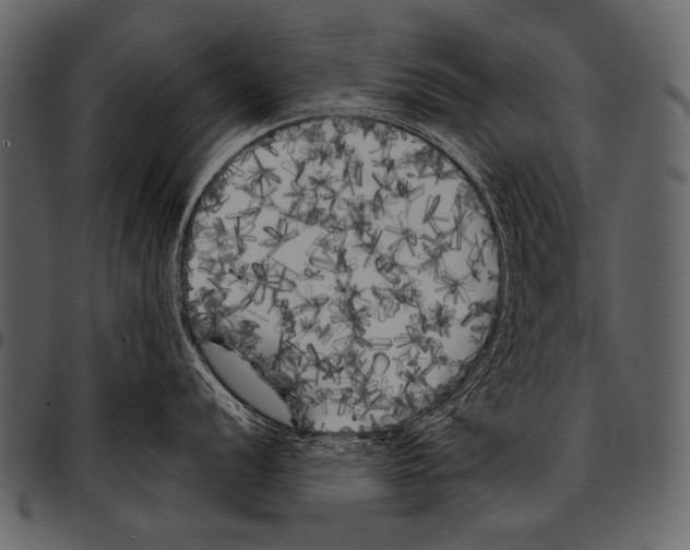 X0000097471056200803201444