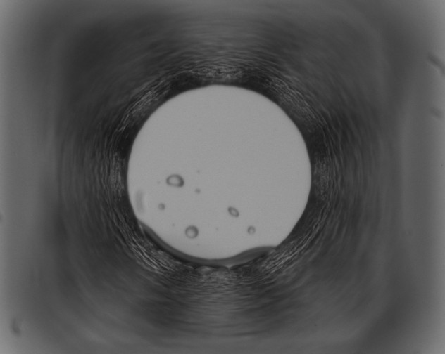 X0000097471058200803201443