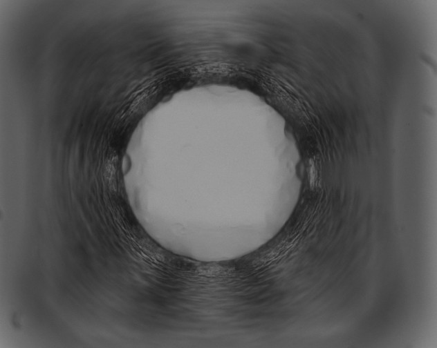 X0000097471059200803201443