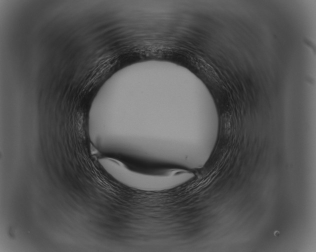 X0000097471060200803201443