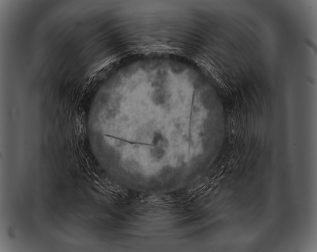 X0000097471063200803201443