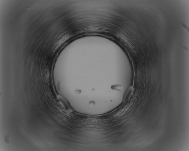 X0000097471065200803201443