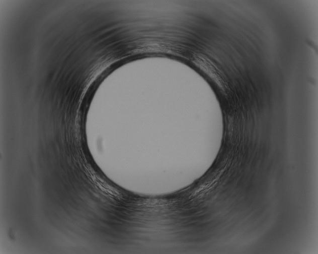 X0000097471068200803201443