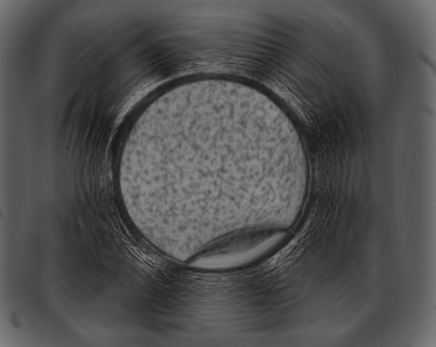 X0000097471070200803201443