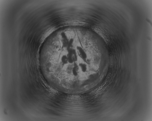 X0000097471071200803201443