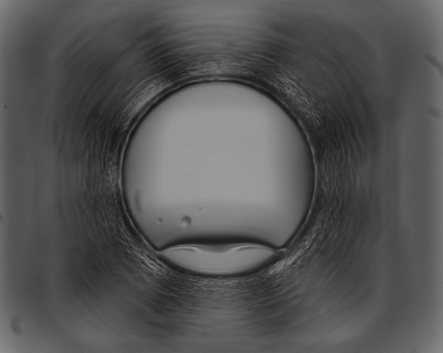 X0000097471073200803201443