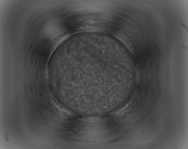 X0000097471074200803201443