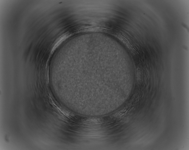 X0000097471078200803201443