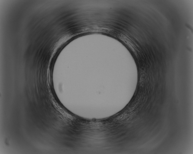 X0000097471080200803201443