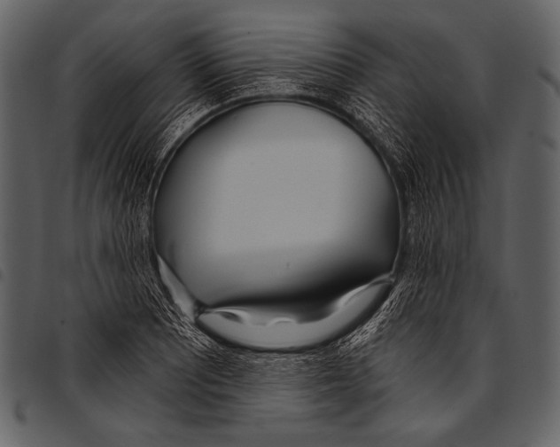 X0000097471081200803201443