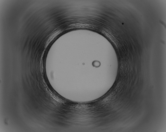 X0000097471082200803201443