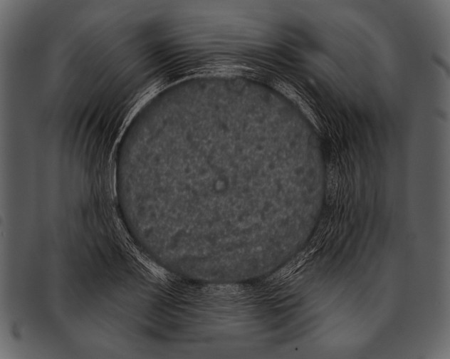 X0000097471083200803201443