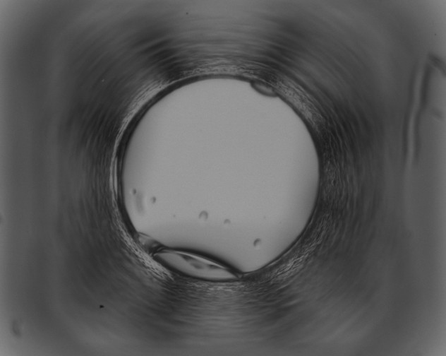 X0000097471084200803201443