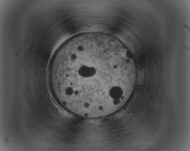 X0000097471086200803201443