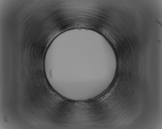 X0000097471089200803201443