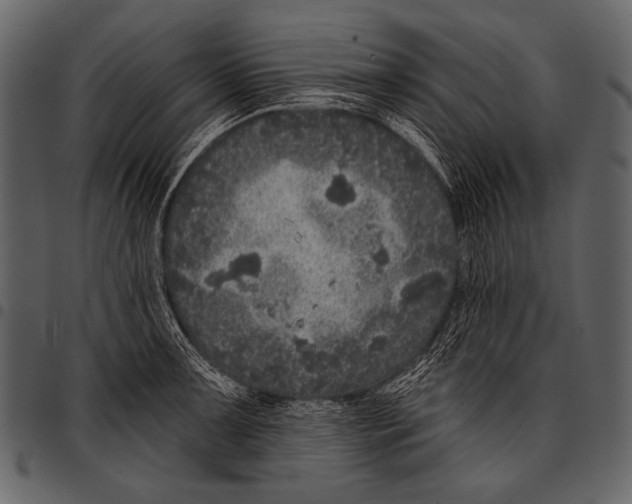 X0000097471091200803201443