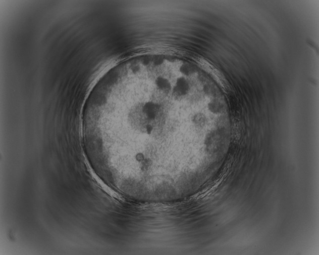 X0000097471095200803201442