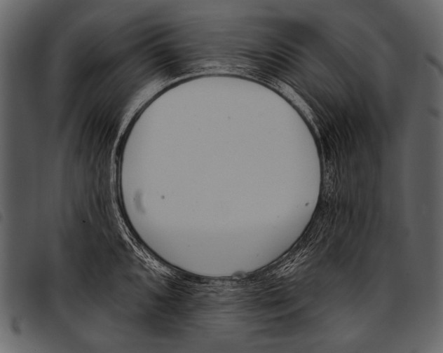 X0000097471096200803201442