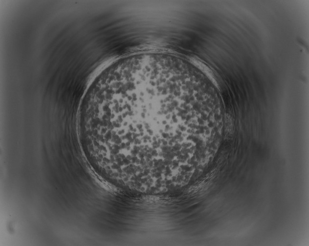 X0000097471098200803201442