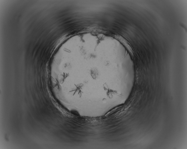 X0000097471099200803201442