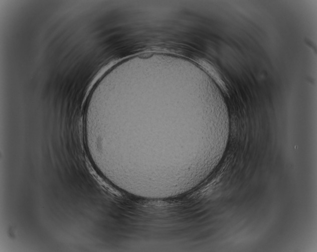 X0000097471100200803201442