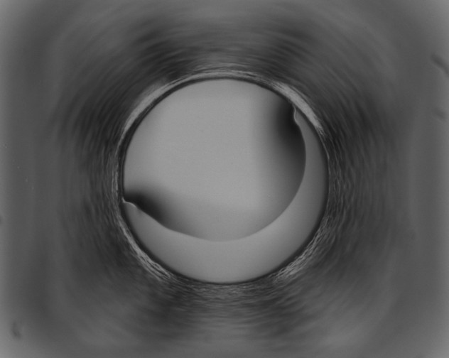 X0000097471101200803201442