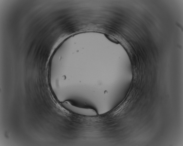 X0000097471102200803201442