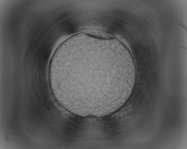 X0000097471104200803201442