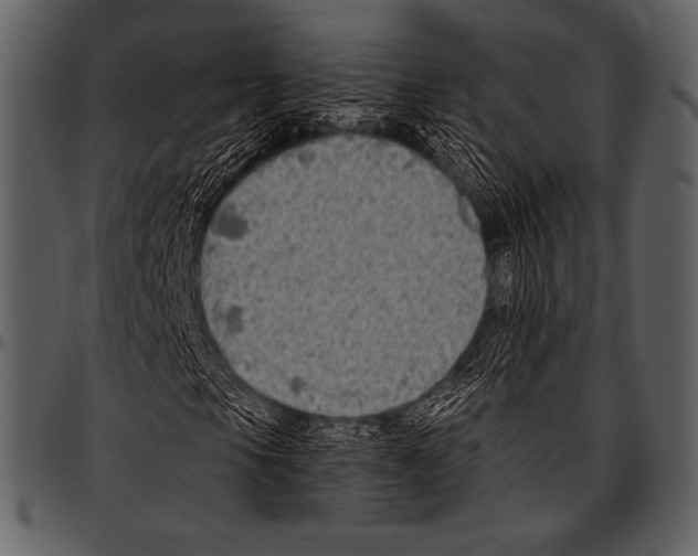 X0000097471105200803201442