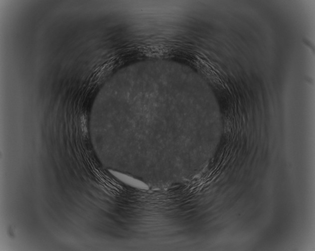 X0000097471106200803201442