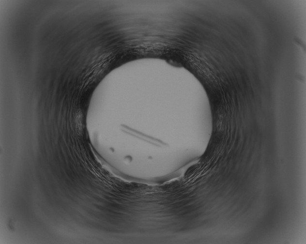 X0000097471108200803201442