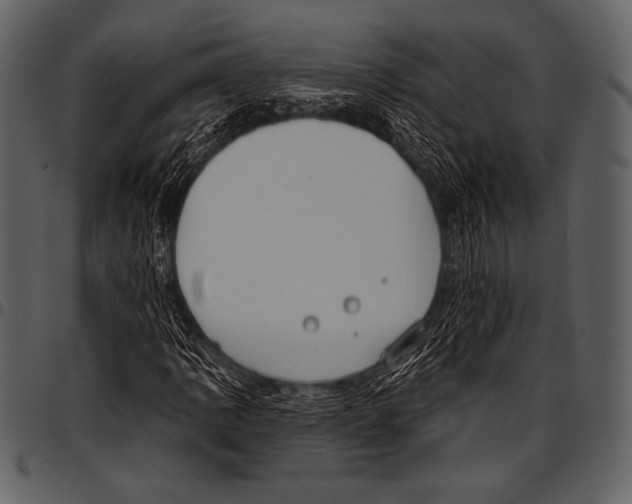 X0000097471109200803201442