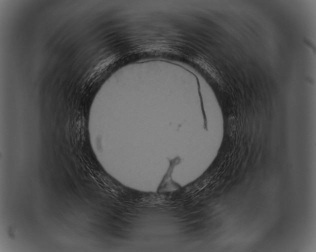 X0000097471111200803201442