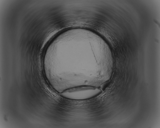 X0000097471120200803201442