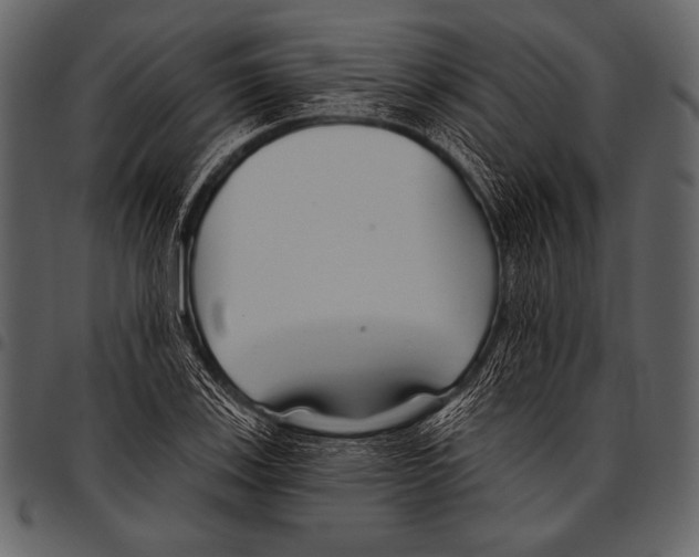 X0000097471123200803201442