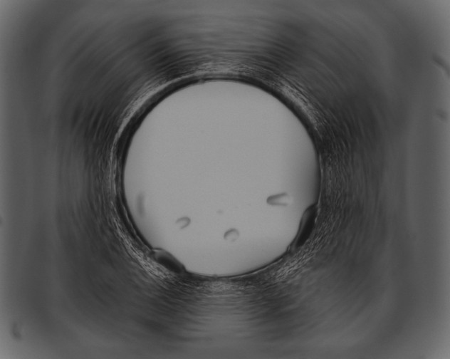 X0000097471124200803201442