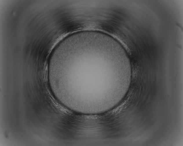 X0000097471126200803201442