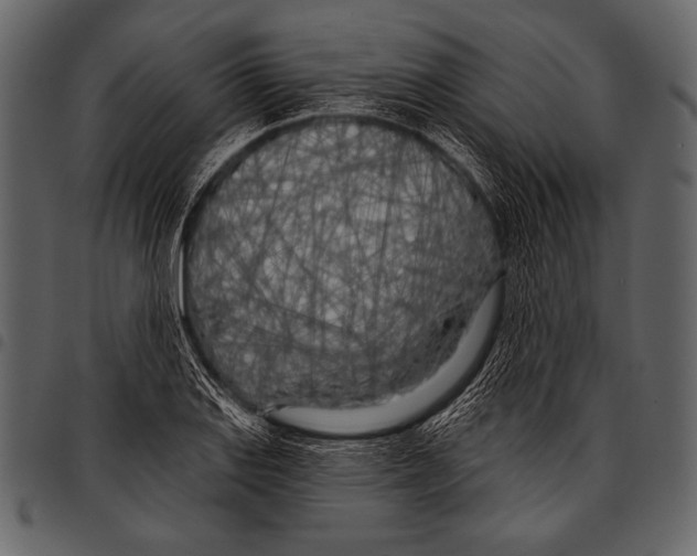 X0000097471127200803201442