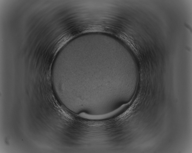 X0000097471129200803201442