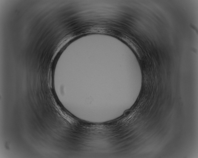 X0000097471131200803201442