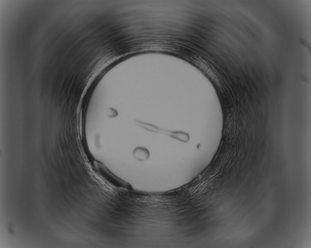 X0000097471132200803201442