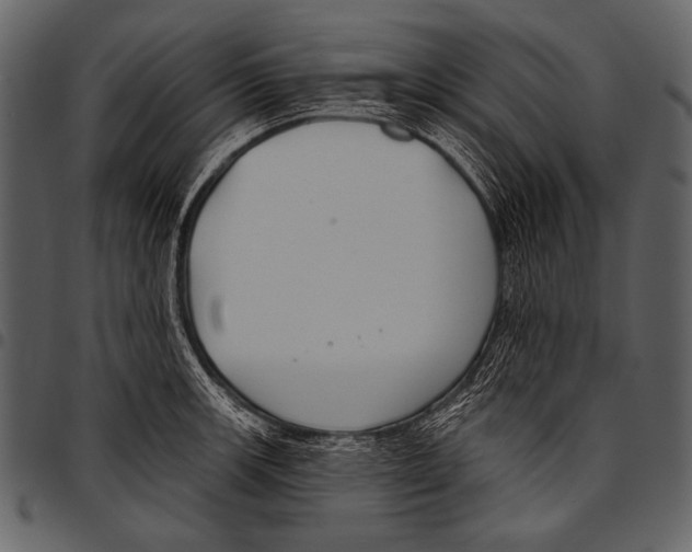 X0000097471139200803201442