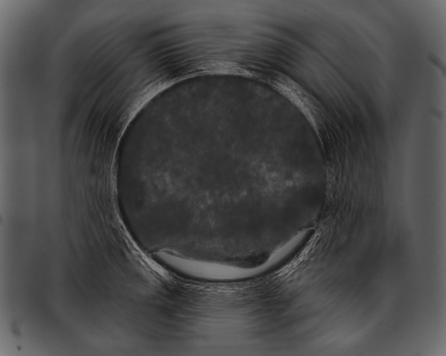 X0000097471141200803201442