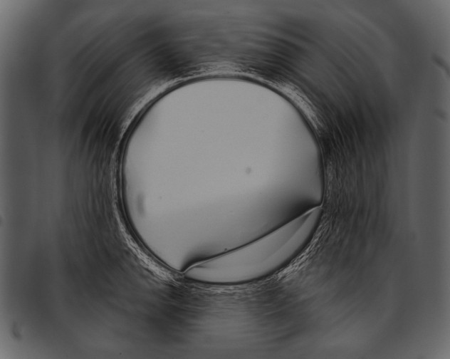 X0000097471142200803201442