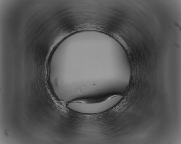 X0000097471144200803201442