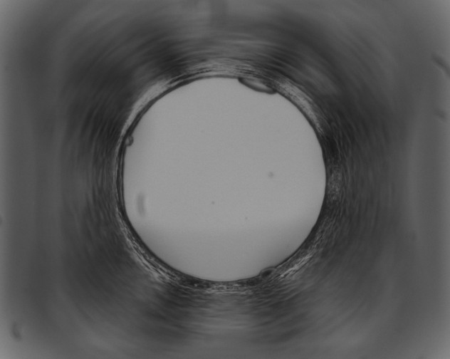 X0000097471146200803201442