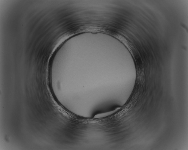 X0000097471147200803201442