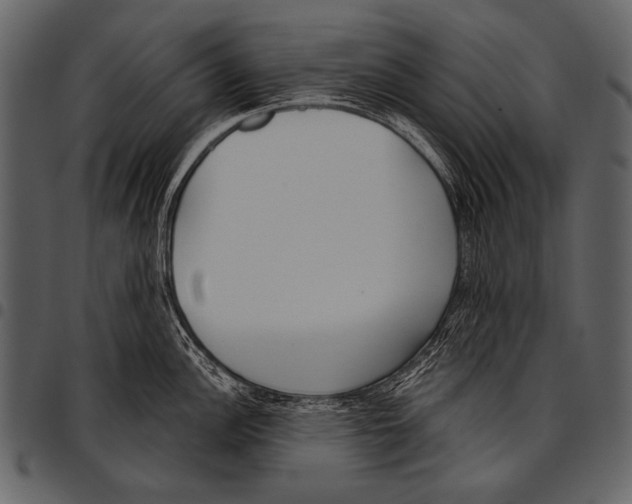 X0000097471148200803201442